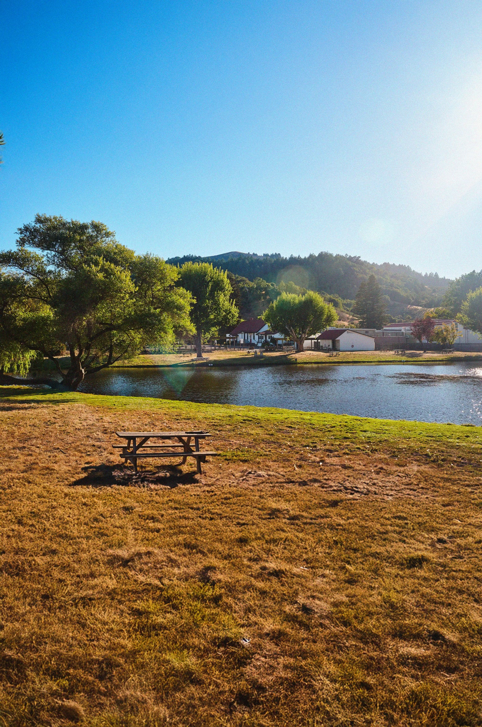 The marin french cheese domain