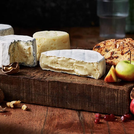 Cheese Tasting 101 - How To Host A Cheese Tasting Like The Pros