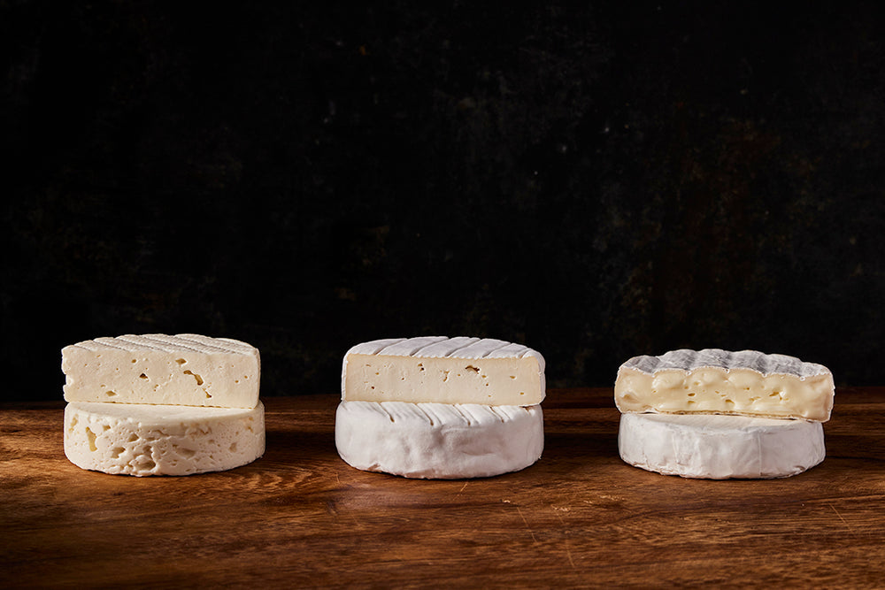 Cheese 101